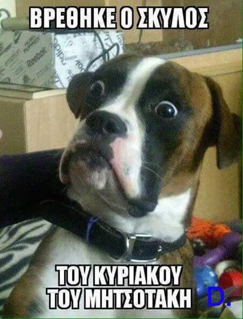 Αστεία εικόνα