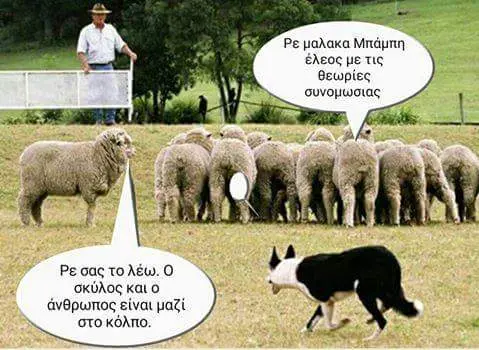 Pe μαλακα έλεος μετις θεωρίες τολέω. σκύλος καιο άνθρωπος είναι μαζί στο κόλπο