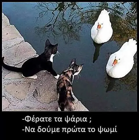 -Na δούμε ψωμί