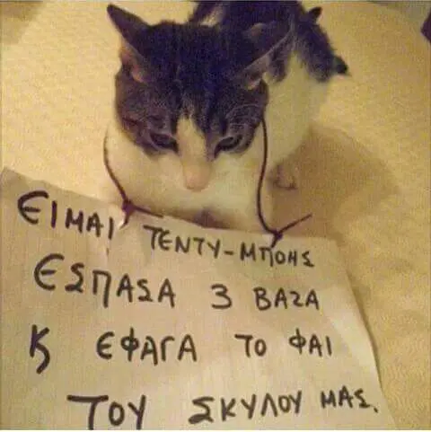 Αστεία εικόνα