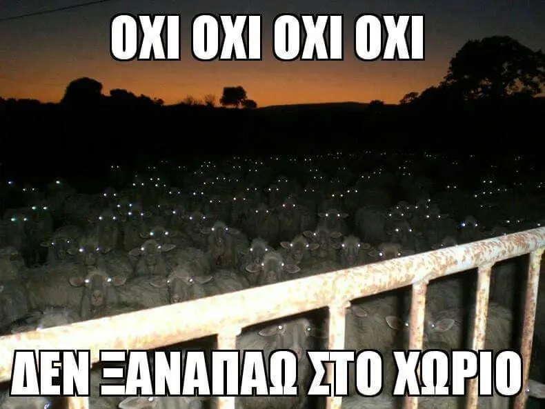 Αστεία εικόνα