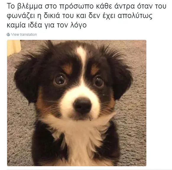 Το βλέμμα στο πρόσωπο Κάθε άντρα όταν του φωνάζει δικιά του Kal δεν έχει απολύτως ιδέα για τον λόγο
