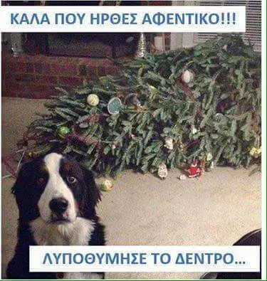 ΗΡΘΕΣ ΛΥΠΟΘΥΜΗΣΕ ΤΟ ΔΕΝΤΡΟ.