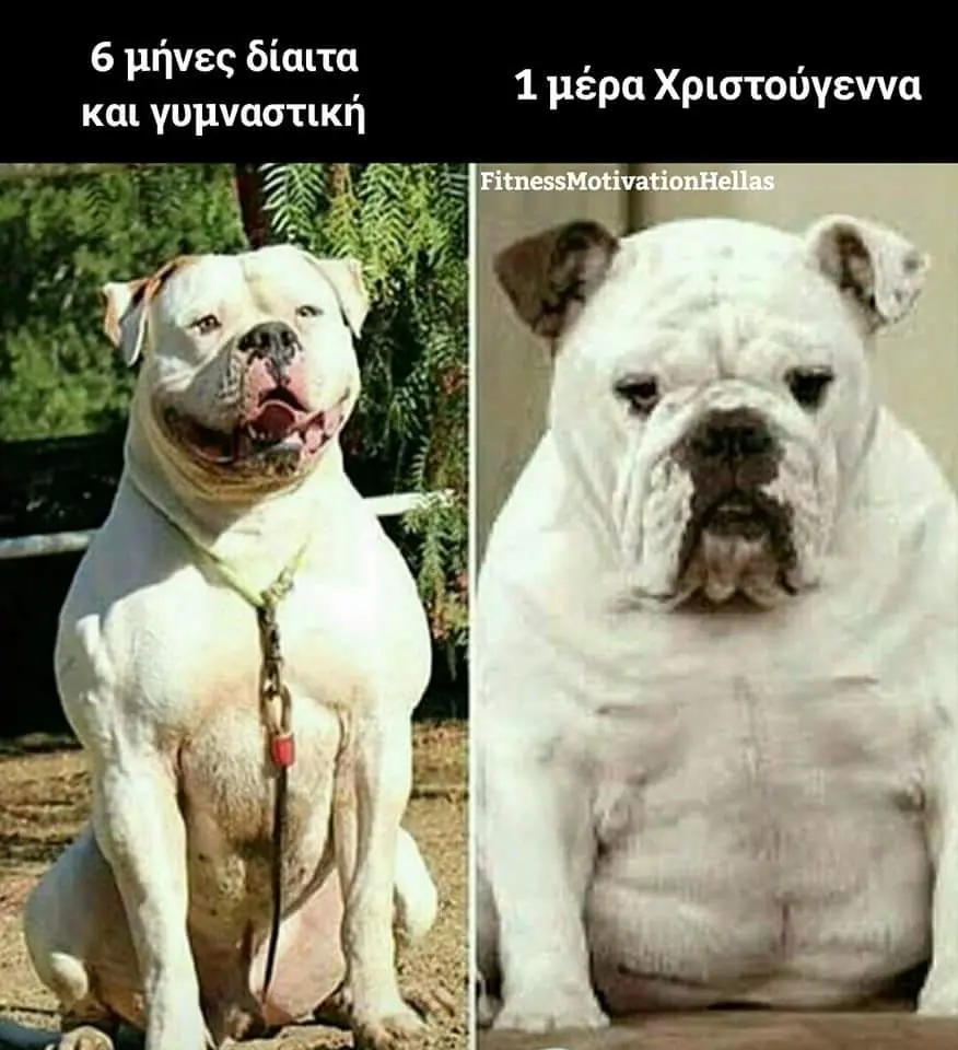 μήνες δίαιτα και Χριστούγεννα