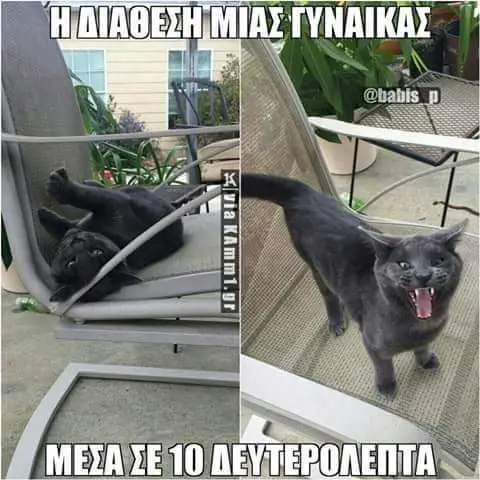Αστεία εικόνα