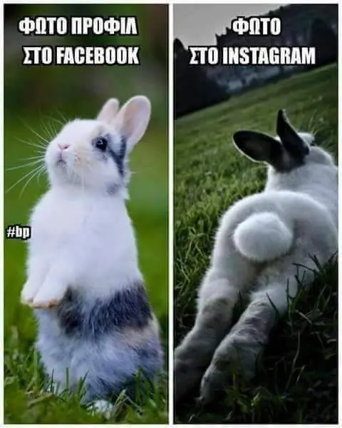 Αστεία εικόνα