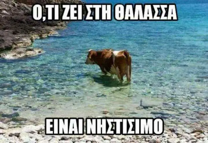Αστεία εικόνα