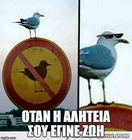 Αστεία εικόνα