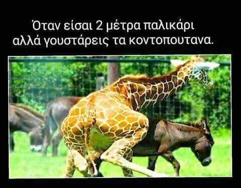 Όταν μέτρα παλικάρι