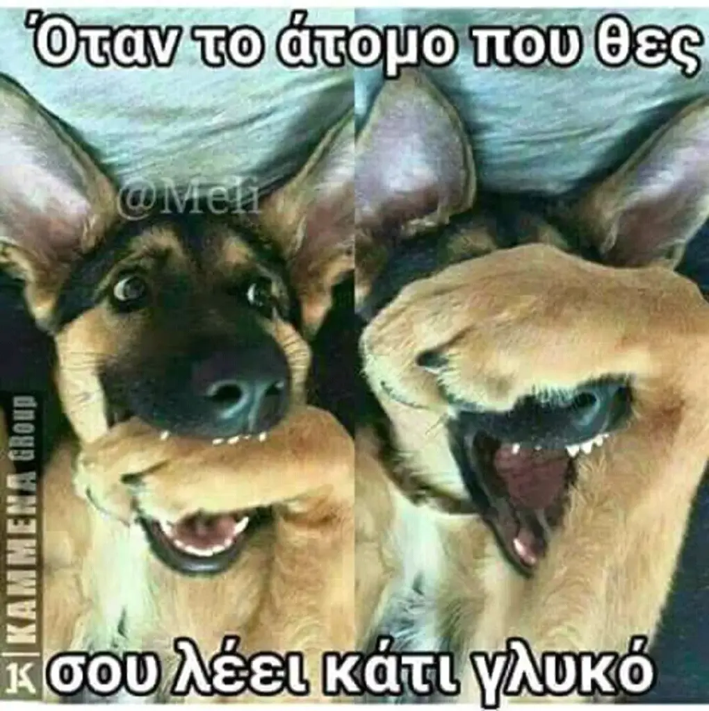 Αστεία εικόνα