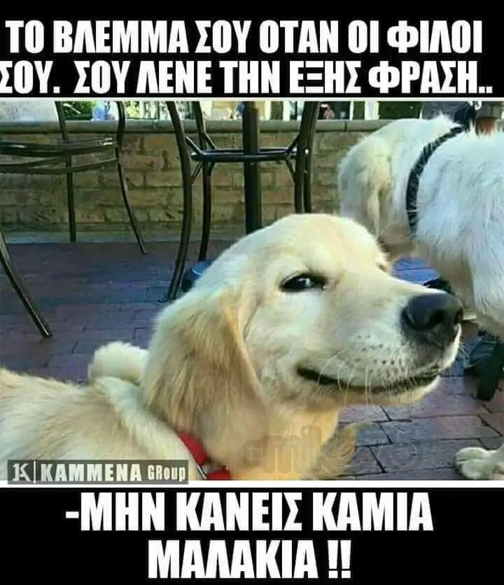 Αστεία εικόνα