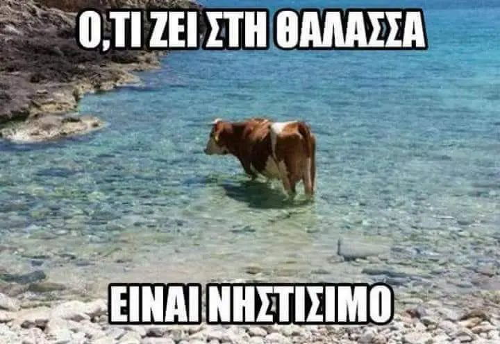 Αστεία εικόνα