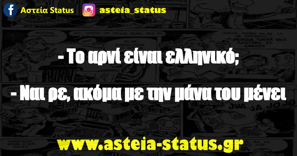 - Το αρνί είναι ελληνικό; - Ναι ρε, ακόμα με την μάνα του μένει
