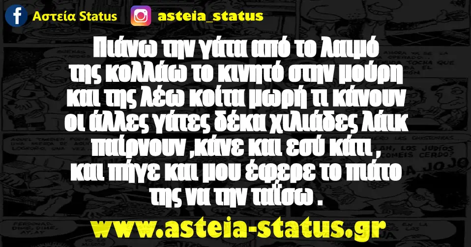 Πιάνω την γάτα από το λαιμό της κολλάω το κινητό στην μούρη και της λέω κοίτα μωρή τι κάνουν οι άλλες γάτες δέκα χιλιάδες λάικ παίρνουν ,κάνε και εσύ κάτι…