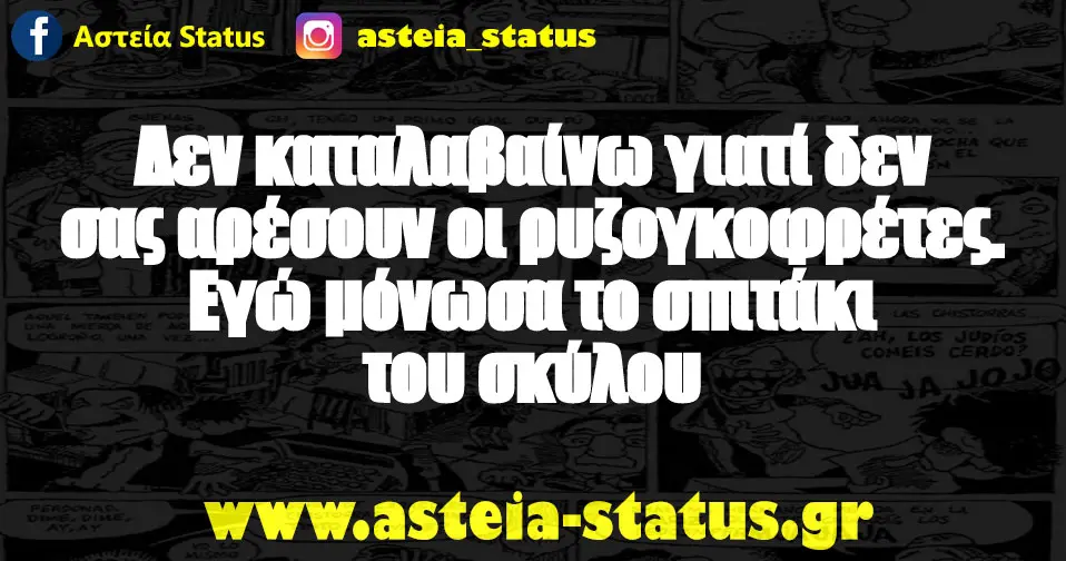 Δεν καταλαβαίνω γιατί δεν σας αρέσουν οι ρυζογκοφρέτες. Εγώ μόνωσα το σπιτάκι του σκύλου